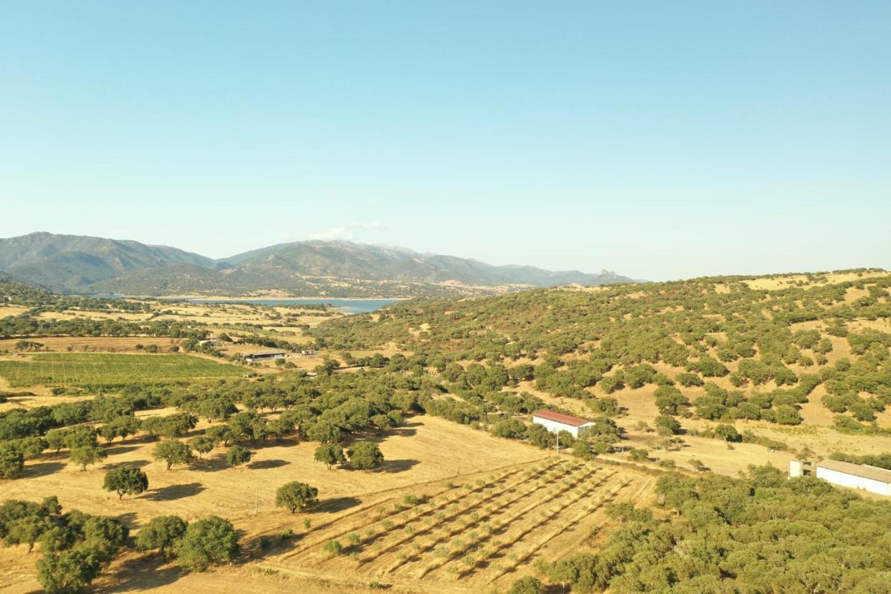 Agriturismo Pedru Caddu Βίλα Tula Εξωτερικό φωτογραφία