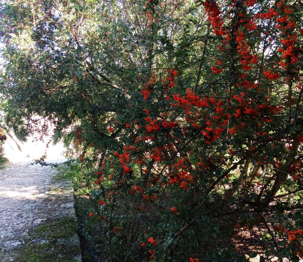 Agriturismo Pedru Caddu Βίλα Tula Εξωτερικό φωτογραφία