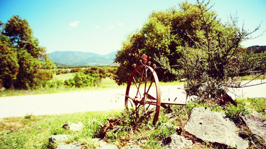 Agriturismo Pedru Caddu Βίλα Tula Εξωτερικό φωτογραφία