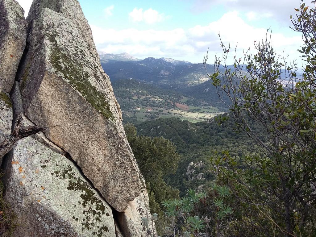 Agriturismo Pedru Caddu Βίλα Tula Εξωτερικό φωτογραφία