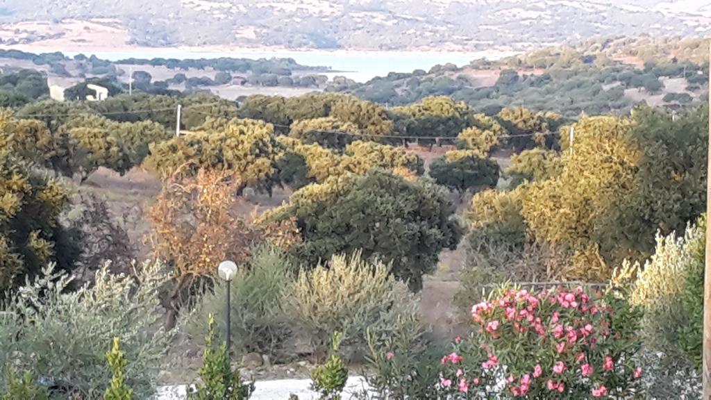 Agriturismo Pedru Caddu Βίλα Tula Εξωτερικό φωτογραφία